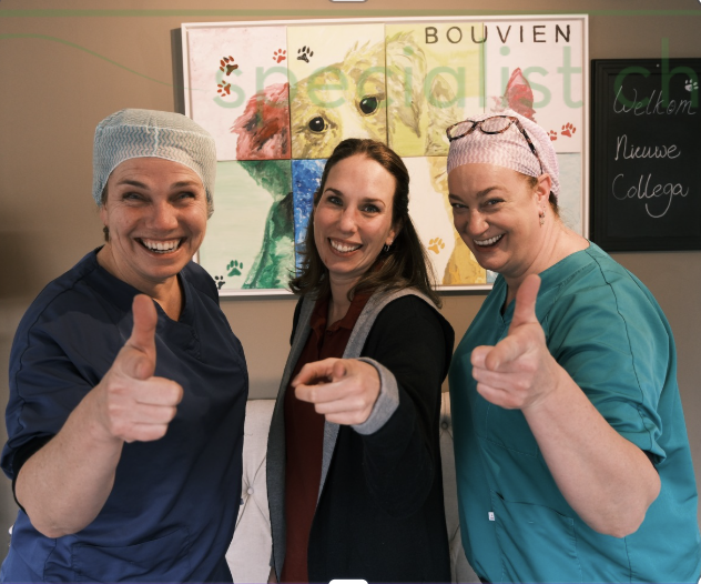 5B5E4E81 7D04 4779 8ACC 651983819FB4