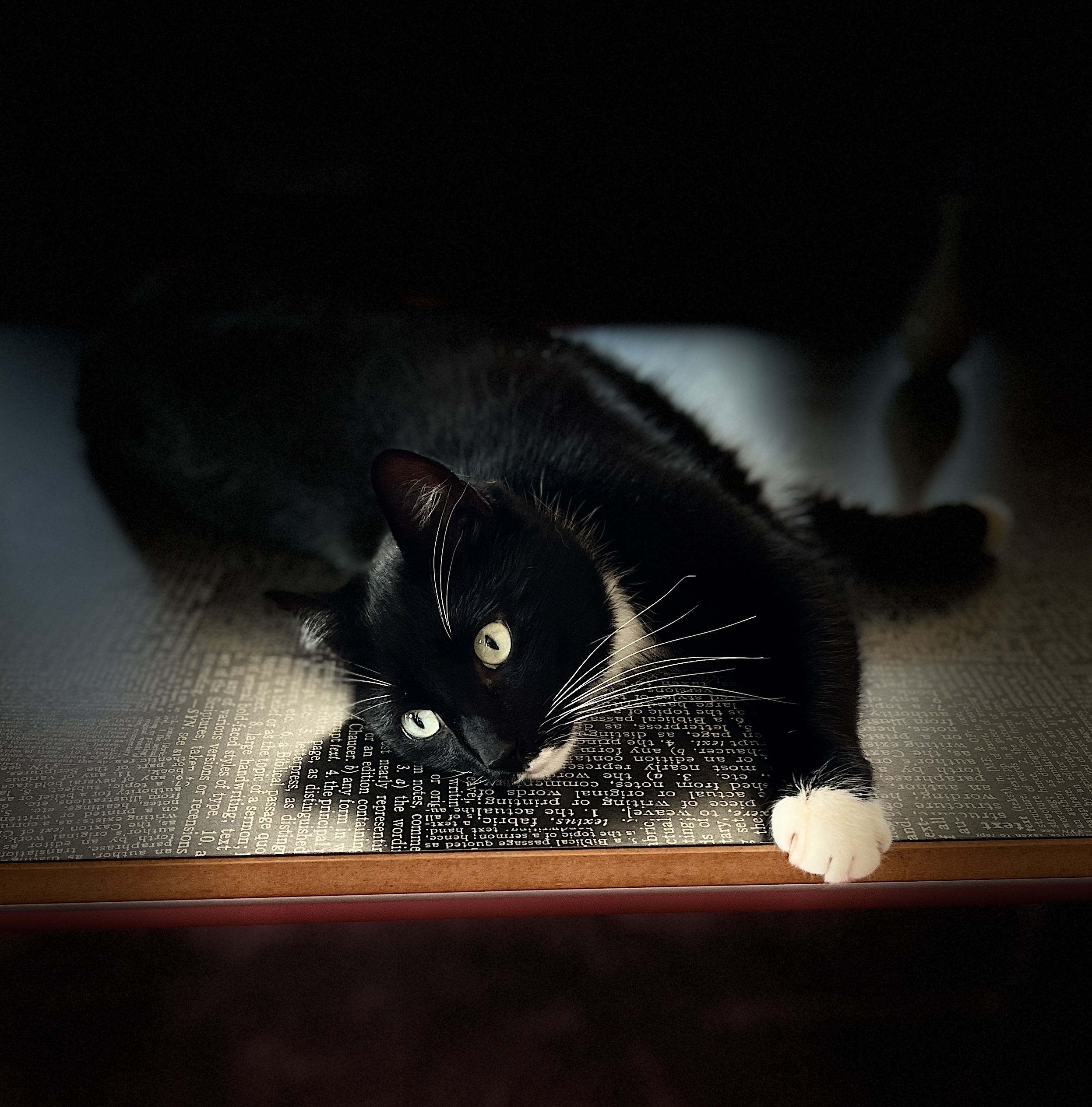 C1563DCA 0556 41A7 BC7A 70900D8B2399 1 201 a